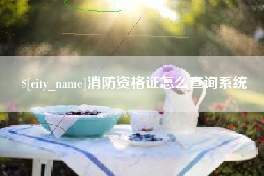 衡东消防资格证怎么查询系统
