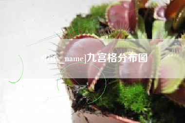 衡东九宫格分布图