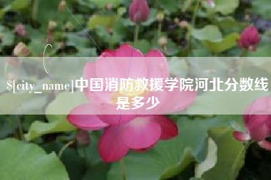 衡东中国消防救援学院河北分数线是多少