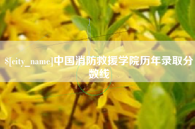 衡东中国消防救援学院历年录取分数线