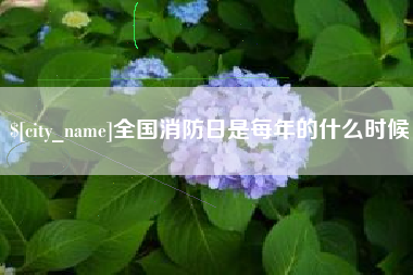 衡东全国消防日是每年的什么时候