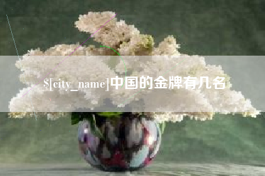 衡东中国的金牌有几名