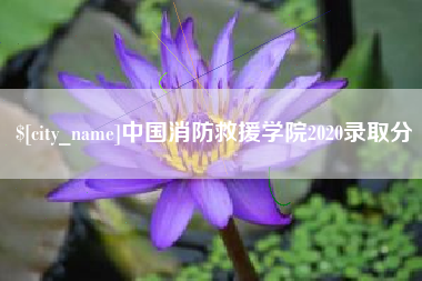 衡东中国消防救援学院2020录取分