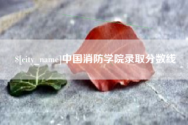 衡东中国消防学院录取分数线
