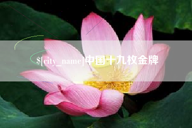 衡东中国十九枚金牌