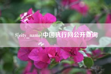 衡东中国执行网公开查询