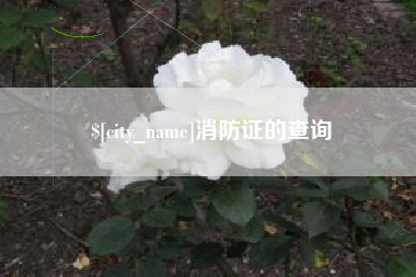 衡东消防证的查询