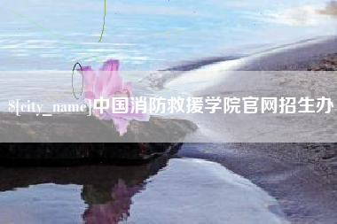 衡东中国消防救援学院官网招生办
