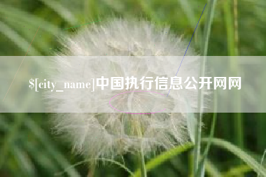 衡东中国执行信息公开网网