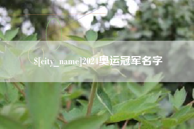 衡东2024奥运冠军名字