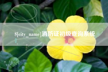 衡东消防证初级查询系统