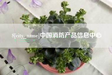 衡东中国消防产品信息中心