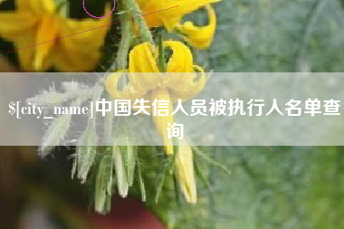 衡东中国失信人员被执行人名单查询