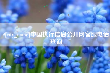 衡东中国执行信息公开网客服电话查询