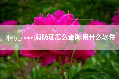 衡东消防证怎么查询,用什么软件