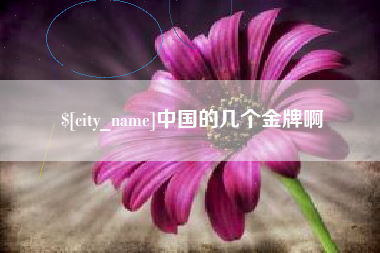 衡东中国的几个金牌啊