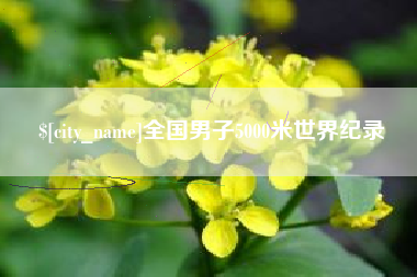 衡东全国男子5000米世界纪录