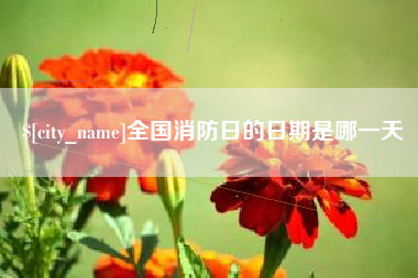 衡东全国消防日的日期是哪一天