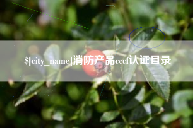 衡东消防产品cccf认证目录