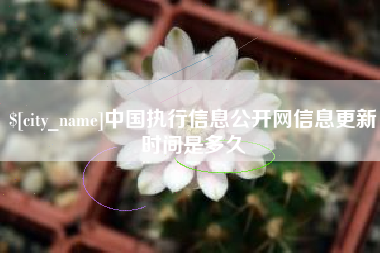 衡东中国执行信息公开网信息更新时间是多久