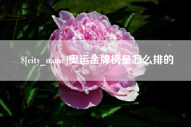 衡东奥运金牌榜是怎么排的