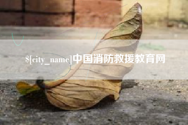 衡东中国消防救援教育网