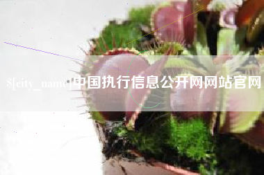 衡东中国执行信息公开网网站官网