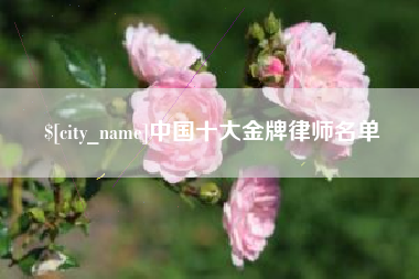 衡东中国十大金牌律师名单