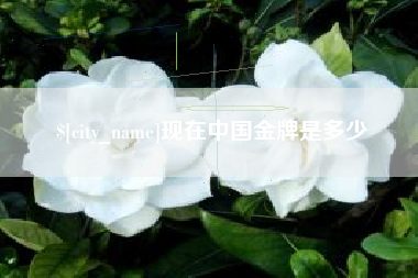 衡东现在中国金牌是多少
