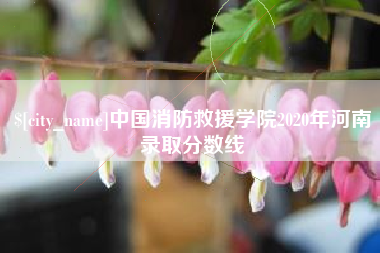 衡东中国消防救援学院2020年河南录取分数线