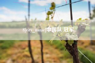 衡东中国队 冠军
