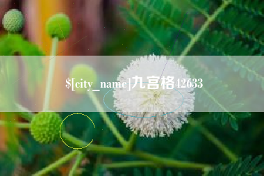 衡东九宫格42633