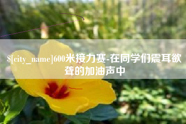 衡东600米接力赛-在同学们震耳欲聋的加油声中