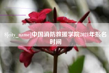 衡东中国消防救援学院2021年报名时间