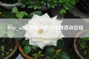 衡东全国消防日主题活动总结