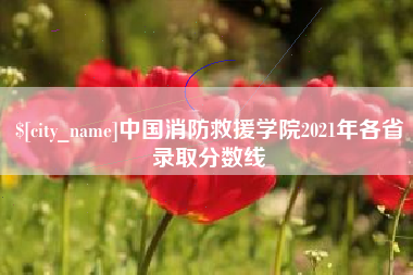 衡东中国消防救援学院2021年各省录取分数线