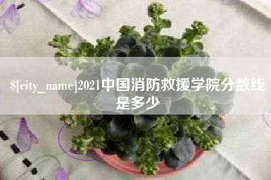 衡东2021中国消防救援学院分数线是多少