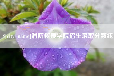 衡东消防救援学院招生录取分数线