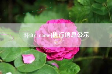 衡东执行信息公示