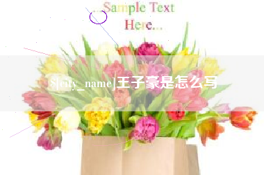 衡东王子豪是怎么写