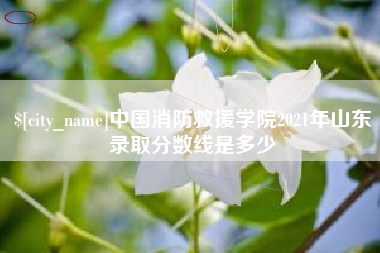 衡东中国消防救援学院2021年山东录取分数线是多少
