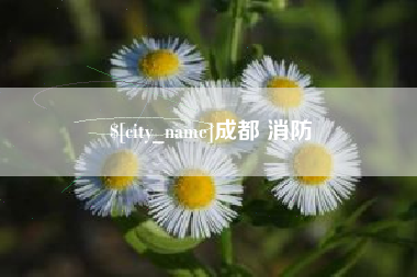 衡东成都 消防