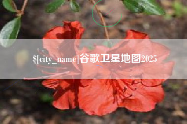 衡东谷歌卫星地图2025
