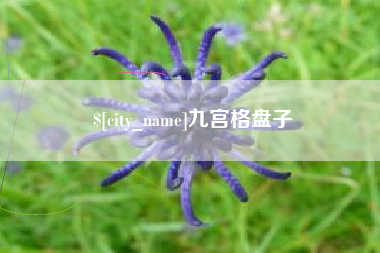 衡东九宫格盘子