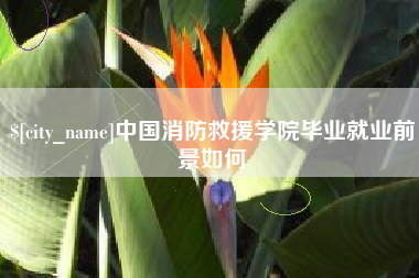 衡东中国消防救援学院毕业就业前景如何