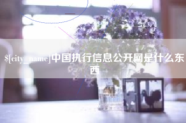 衡东中国执行信息公开网是什么东西
