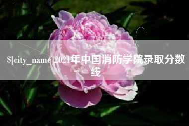 衡东2021年中国消防学院录取分数线