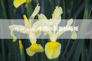 衡东中国消防器材商城