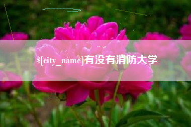 衡东有没有消防大学