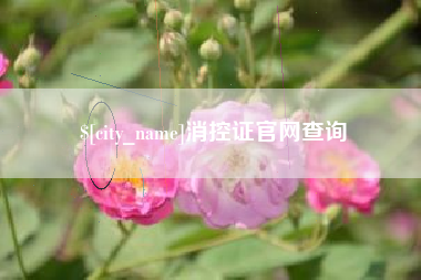 衡东消控证官网查询